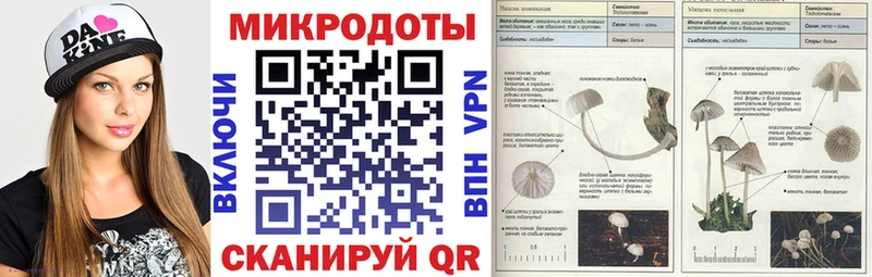 Галлюциногенные грибы ЛСД  Купить где  Котово 